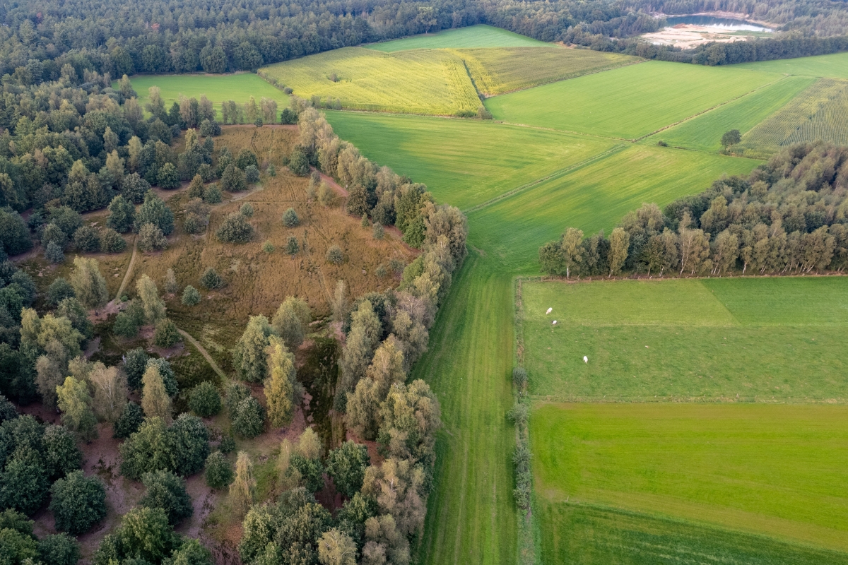 prikaz parcele zemljišta snimljen iz drona