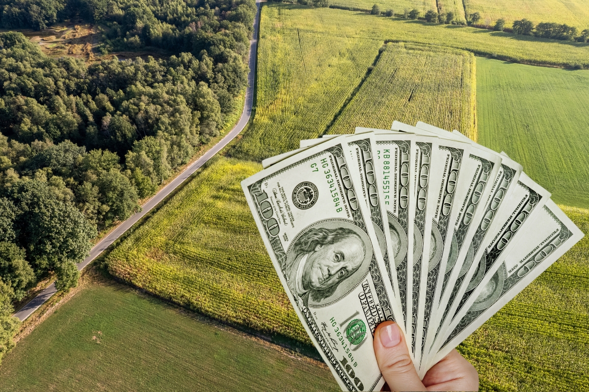 prikaz parcele i osobe koja drži u ruci nekoliko dolara